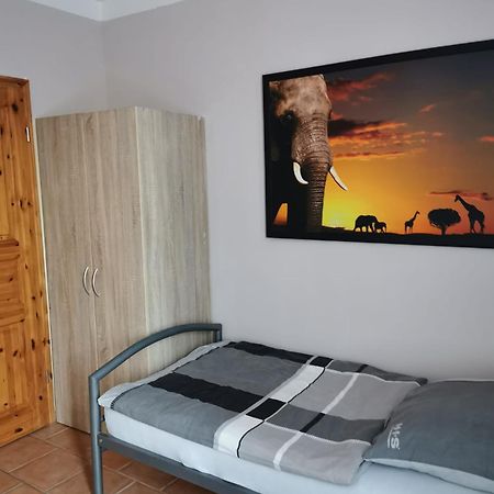 Pension Comfort دريسدن المظهر الخارجي الصورة